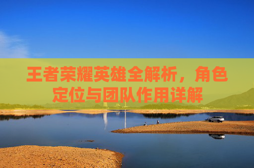 王者荣耀英雄全解析,角色定位与团队作用详解 王者荣耀英雄全解析,角色定位与团队作用详解