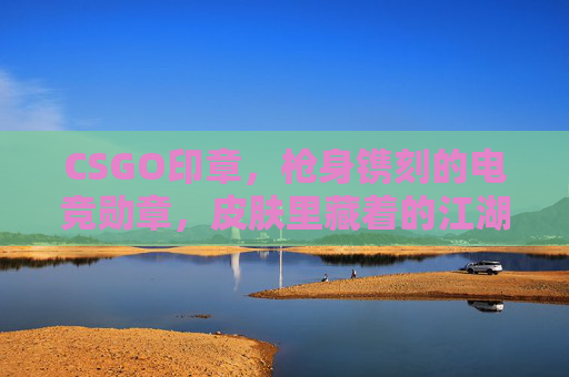 CSGO印章，枪身镌刻的电竞勋章，皮肤里藏着的江湖密码