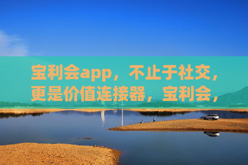 宝利会app,不止于社交,更是价值连接器,宝利会,社交之上,价值连接器 宝利会app,不止于社交,更是价值连接器,宝利会,社交之上,价值连接器