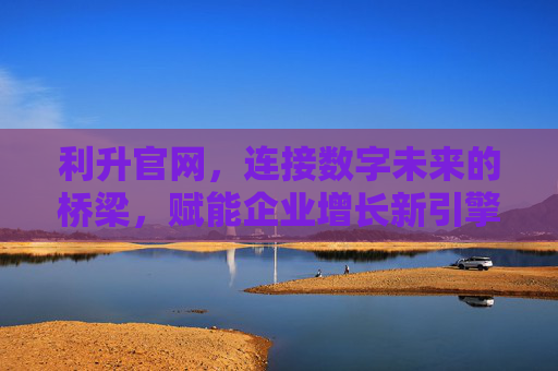 利升官网,连接数字未来的桥梁,赋能企业增长新引擎,利升官网,数字未来的桥梁与企业增长的新引擎 利升官网,连接数字未来的桥梁,赋能企业增长新引擎,利升官网,数字未来的桥梁与企业增长的新引擎