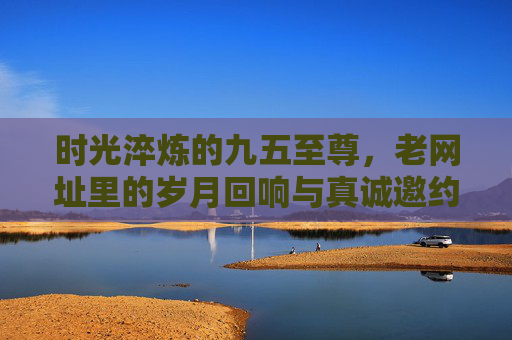 时光淬炼的九五至尊，老网址里的岁月回响与真诚邀约，时光淬炼的九五至尊，老网址里的岁月回响与真诚邀约