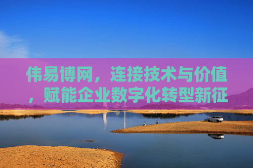 伟易博网，连接技术与价值，赋能企业数字化转型新征程，伟易博网，连接技术与价值，赋能企业数字化转型新征程
