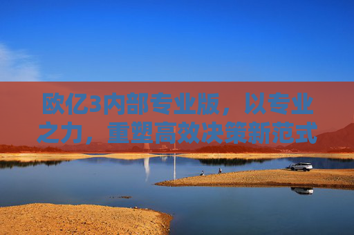 欧亿3内部专业版，以专业之力，重塑高效决策新范式，欧亿3内部专业版，重塑高效决策新范式