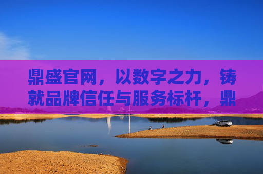 鼎盛官网，以数字之力，铸就品牌信任与服务标杆，鼎盛官网，数字之力铸就品牌信任与服务标杆