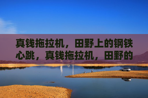 真钱拖拉机,田野上的钢铁心跳,真钱拖拉机,田野的钢铁心跳 真钱拖拉机,田野上的钢铁心跳,真钱拖拉机,田野的钢铁心跳