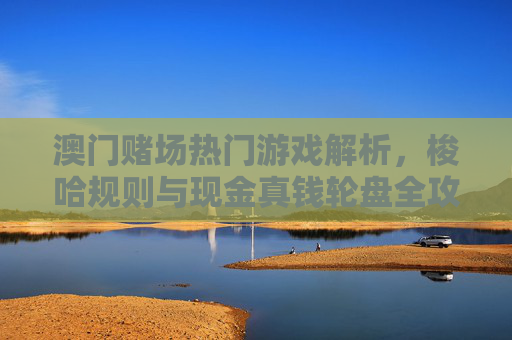 澳门赌场热门游戏解析，梭哈规则与现金真钱轮盘全攻略，澳门赌场热门游戏全攻略，梭哈规则与现金真钱轮盘解析