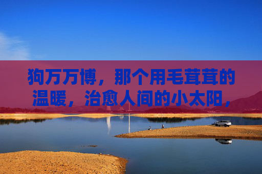 狗万万博,那个用毛茸茸的温暖,治愈人间的小太阳,狗万万博,治愈人间的毛茸茸小太阳 狗万万博,那个用毛茸茸的温暖,治愈人间的小太阳,狗万万博,治愈人间的毛茸茸小太阳