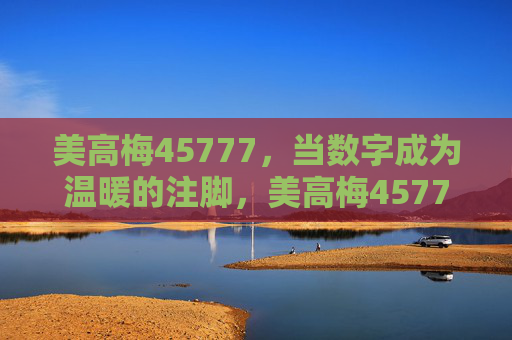 美高梅45777，当数字成为温暖的注脚，美高梅45777，数字的温暖注脚