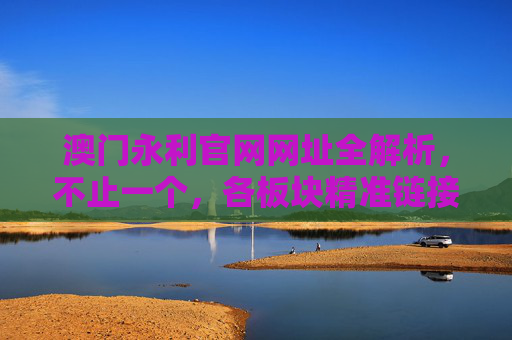 澳门永利官网网址全解析，不止一个，各板块精准链接在这里，澳门永利官网网址全解析，多网址与各板块精准链接