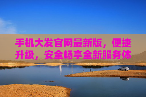 手机大发官网最新版，便捷升级，安全畅享全新服务体验，手机大发官网最新版，便捷升级，安全畅享新体验