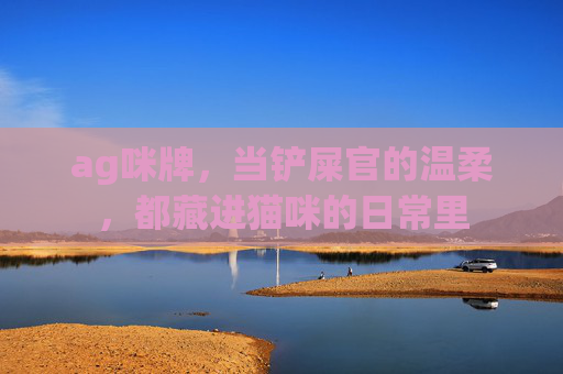 ag咪牌,当铲屎官的温柔,都藏进猫咪的日常里 ag咪牌,当铲屎官的温柔,都藏进猫咪的日常里