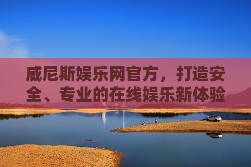 威尼斯娱乐网官方，打造安全、专业的在线娱乐新体验，威尼斯娱乐网官方，打造安全专业的在线娱乐新体验