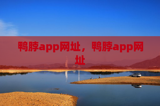 鸭脖app网址，鸭脖app网址