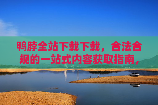 鸭脖全站下载下载，合法合规的一站式内容获取指南，鸭脖全站下载，合法合规一站式内容获取指南