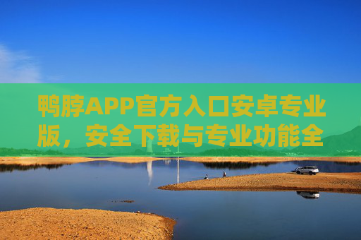 鸭脖APP官方入口安卓专业版，安全下载与专业功能全解析，鸭脖APP安卓专业版官方入口，安全下载与专业功能全解析