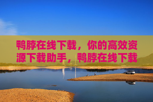 鸭脖在线下载，你的高效资源下载助手，鸭脖在线下载，高效资源下载助手