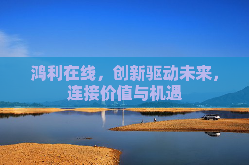 鸿利在线，创新驱动未来，连接价值与机遇