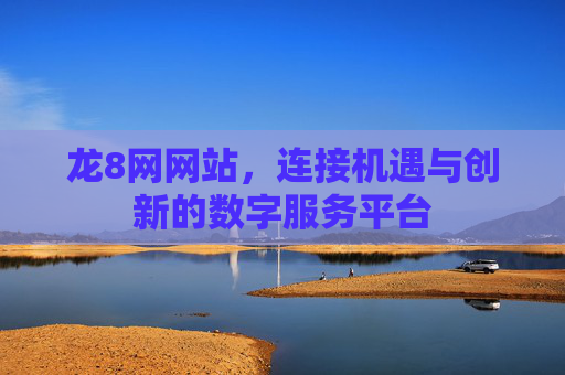龙8网网站，连接机遇与创新的数字服务平台