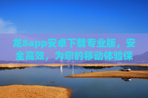 龙8app安卓下载专业版，安全高效，为您的移动体验保驾护航，龙8app安卓专业版，安全高效护航移动体验