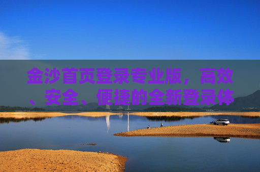 金沙首页登录专业版，高效、安全、便捷的全新登录体验，金沙首页登录专业版，高效安全便捷的全新体验