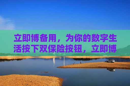 立即博备用，为你的数字生活按下双保险按钮，立即博备用，数字生活的双保险按钮