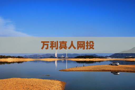 万利真人网投