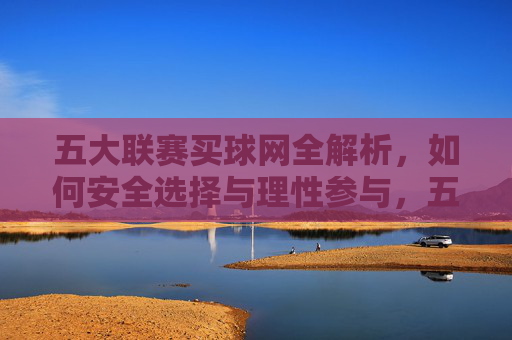 五大联赛买球网全解析，如何安全选择与理性参与，五大联赛买球网安全选择与理性参与全解析
