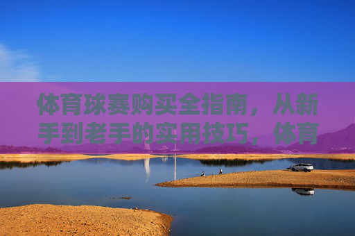 体育球赛购买全指南，从新手到老手的实用技巧，体育球赛购买，新手到老手实用全指南