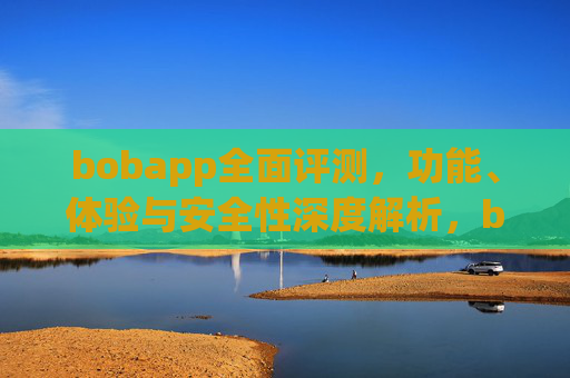 bobapp全面评测，功能、体验与安全性深度解析，bobapp全面评测，功能、体验与安全性深度解析