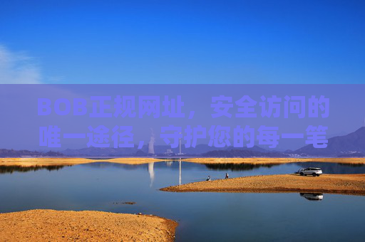 BOB正规网址，安全访问的唯一途径，守护您的每一笔交易，BOB正规网址，安全访问唯一途径，守护交易安全