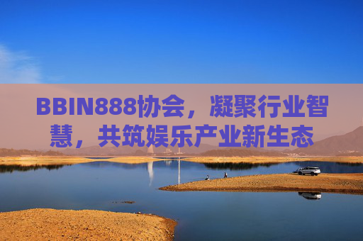 BBIN888协会，凝聚行业智慧，共筑娱乐产业新生态