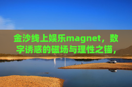 金沙线上娱乐magnet，数字诱惑的磁场与理性之锚，金沙线上娱乐，数字诱惑的磁场与理性之锚