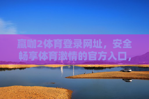 赢咖2体育登录网址，安全畅享体育激情的官方入口，赢咖2体育官方安全登录入口