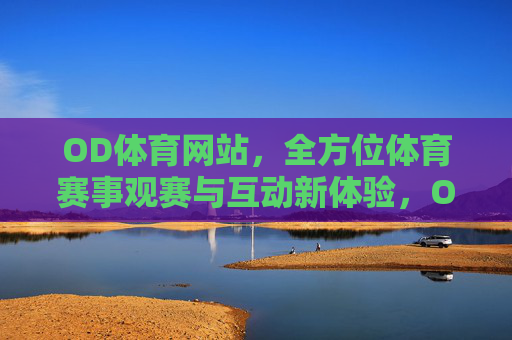 OD体育网站，全方位体育赛事观赛与互动新体验，OD体育，全方位赛事观赛互动新体验