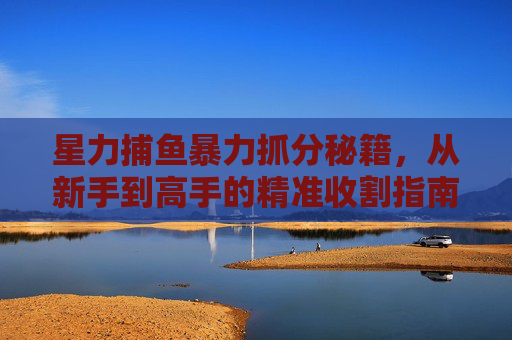 星力捕鱼暴力抓分秘籍,从新手到高手的精准收割指南,星力捕鱼暴力抓分,新手到高手的精准收割指南 星力捕鱼暴力抓分秘籍,从新手到高手的精准收割指南,星力捕鱼暴力抓分,新手到高手的精准收割指南