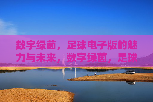 数字绿茵,足球电子版的魅力与未来,数字绿茵,足球电子版的魅力与未来 数字绿茵,足球电子版的魅力与未来,数字绿茵,足球电子版的魅力与未来