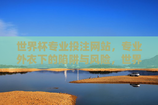 世界杯专业投注网站，专业外衣下的陷阱与风险，世界杯专业投注网站，外衣光鲜，陷阱重重