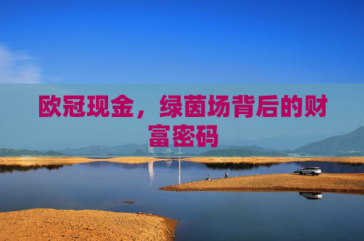 欧冠现金,绿茵场背后的财富密码 欧冠现金,绿茵场背后的财富密码
