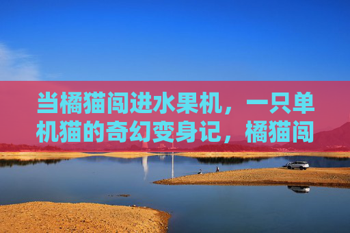 当橘猫闯进水果机,一只单机猫的奇幻变身记,橘猫闯水果机,单机猫奇幻变身记 当橘猫闯进水果机,一只单机猫的奇幻变身记,橘猫闯水果机,单机猫奇幻变身记