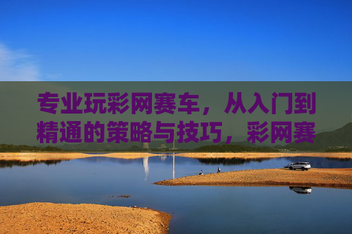 专业玩彩网赛车,从入门到精通的策略与技巧,彩网赛车从入门到精通,策略与技巧 专业玩彩网赛车,从入门到精通的策略与技巧,彩网赛车从入门到精通,策略与技巧