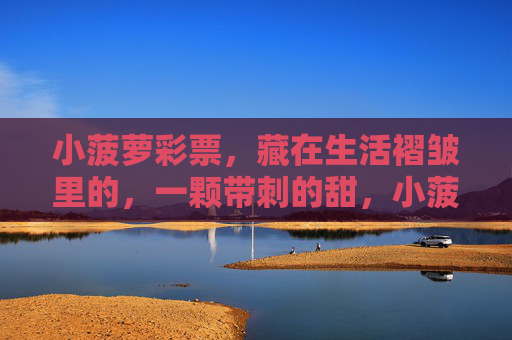 小菠萝彩票,藏在生活褶皱里的,一颗带刺的甜,小菠萝彩票,藏在生活褶皱里的带刺甜 小菠萝彩票,藏在生活褶皱里的,一颗带刺的甜,小菠萝彩票,藏在生活褶皱里的带刺甜