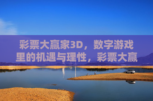 彩票大赢家3D，数字游戏里的机遇与理性，彩票大赢家3D，数字游戏的机遇与理性
