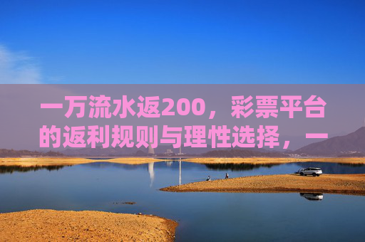 一万流水返200，彩票平台的返利规则与理性选择，一万流水返200，彩票返利规则与理性选择