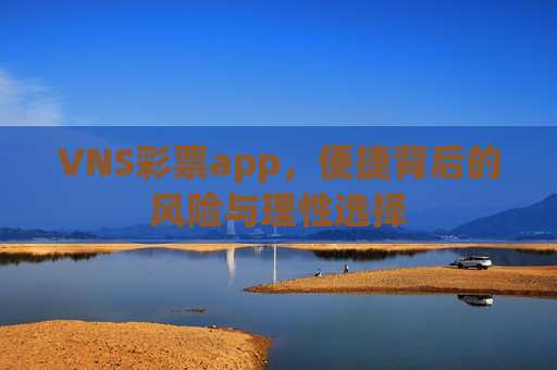 VNS彩票app,便捷背后的风险与理性选择 VNS彩票app,便捷背后的风险与理性选择