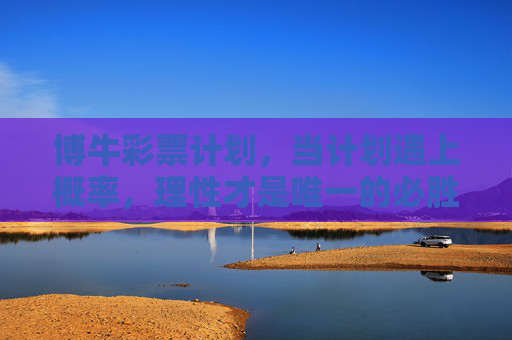 博牛彩票计划,当计划遇上概率,理性才是唯一的必胜策略,计划遇概率,理性为胜,博牛彩票之道 博牛彩票计划,当计划遇上概率,理性才是唯一的必胜策略,计划遇概率,理性为胜,博牛彩票之道