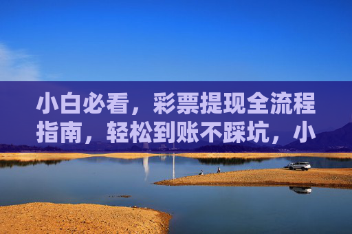 小白必看，彩票提现全流程指南，轻松到账不踩坑，小白必看，彩票提现全流程，轻松到账不踩坑