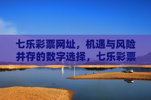 七乐彩票网址,机遇与风险并存的数字选择,七乐彩票网址,数字选择的机遇与风险 七乐彩票网址,机遇与风险并存的数字选择,七乐彩票网址,数字选择的机遇与风险