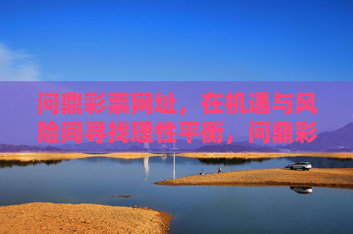 问鼎彩票网址，在机遇与风险间寻找理性平衡，问鼎彩票网址，机遇与风险的理性平衡