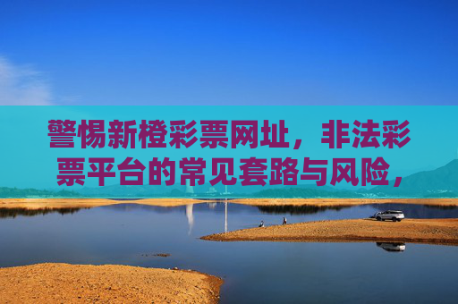 警惕新橙彩票网址，非法彩票平台的常见套路与风险，警惕新橙彩票等非法彩票网址的常见套路与风险