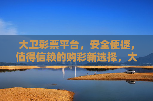 大卫彩票平台，安全便捷，值得信赖的购彩新选择，大卫彩票，安全便捷，值得信赖的购彩新选择